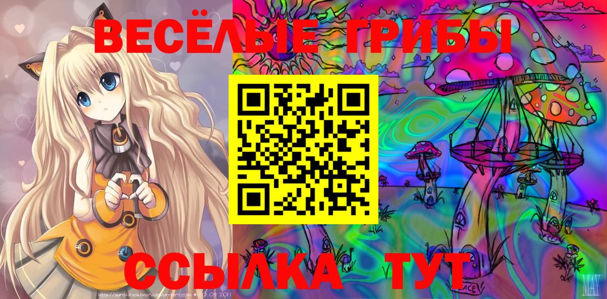 Псилоцибиновые грибы Cubensis Миллерово