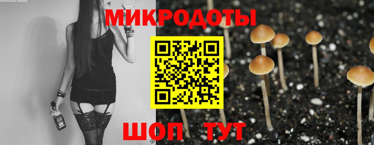 Миллерово  Псилоцибиновые грибы Psilocybe  Псилоцибиновые грибы мухоморы  Вход с VPN 